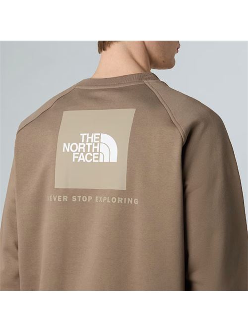 m raglan box nse hoodie THE NORTH FACE | NF0A89FAE1Q1E1Q